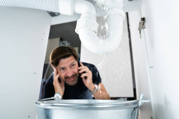 Best Pipe Repair Near Me  in Barrington, IL