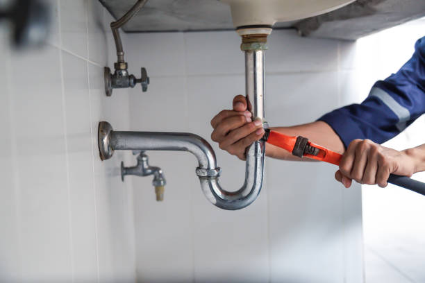 Best Plumbing Services Near Me  in Barrington, IL