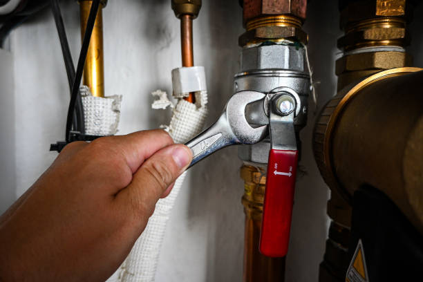 Best Residential Plumbing Services  in Barrington, IL